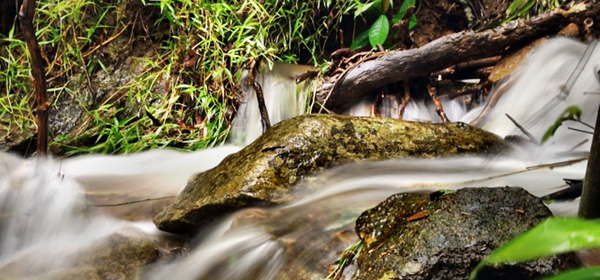 Bordering World Heritage Rainforest